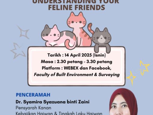 CatCare FABU Sharing : Basic Cat Behavior – Understanding Your Feline Friends